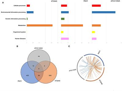 Determining the Different Mechanisms Used by Pseudomonas Species to Cope With Minimal Inhibitory Concentrations of Zinc via Comparative Transcriptomic Analyses